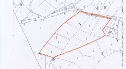 Farm land of 82,077 m² in Arzachena (07021)