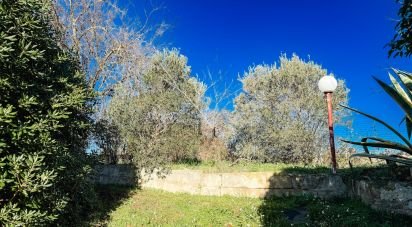 Villa Bifamiliare 7 locali di 110 m² in Martina Franca (74015)