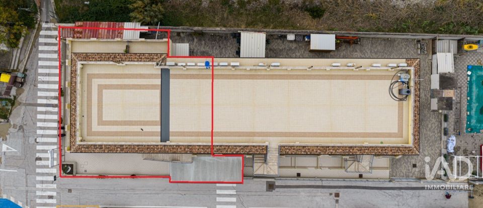 Varie superfici di 563 m² in Civitanova Marche (62012)