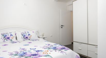 Appartamento 5 locali di 114 m² a Castelbellino (60030)