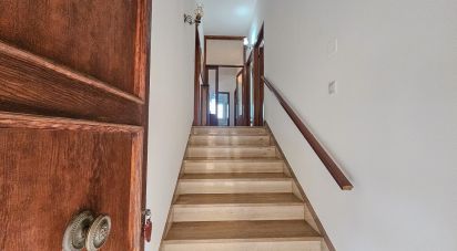 Appartamento 5 locali di 150 m² a Spello (06038)