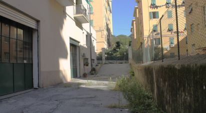 Shop / premises commercial of 506 m² in Genova (16159)