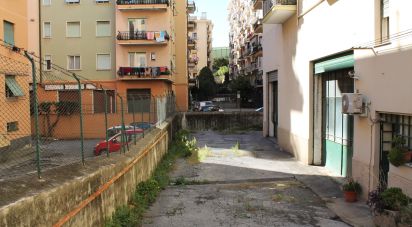 Shop / premises commercial of 506 m² in Genova (16159)