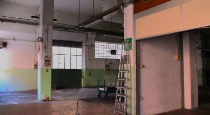 Shop / premises commercial of 506 m² in Genova (16159)