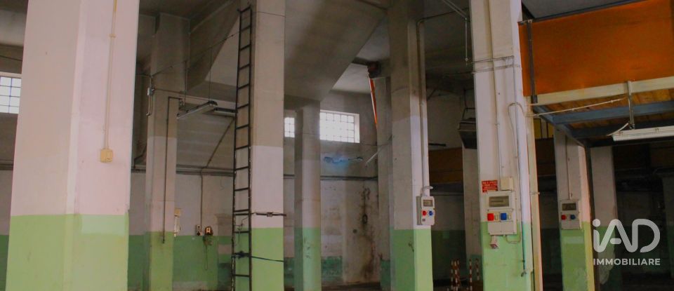 Negozio / locale commerciale di 506 m² in Genova (16159)