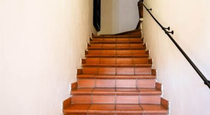 Trilocale di 60 m² a Carmignano (59015)