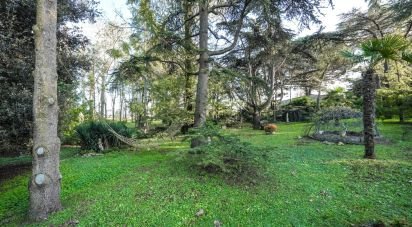 Villa Bifamiliare 3 locali di 183 m² in Mesola (44026)