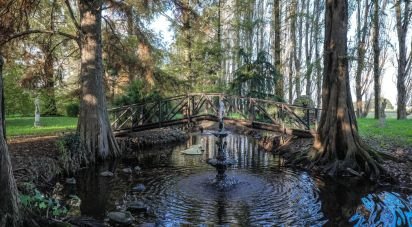 Villa Bifamiliare 3 locali di 183 m² in Mesola (44026)