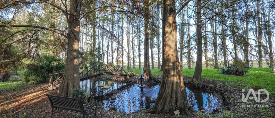 House boat 3 rooms of 183 m² in Mesola (44026)