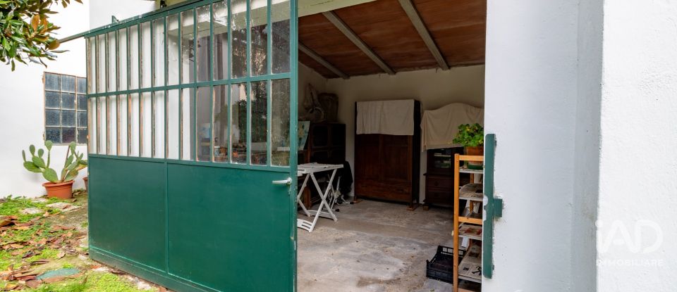 House 7 rooms of 250 m² in Cerea (37053)