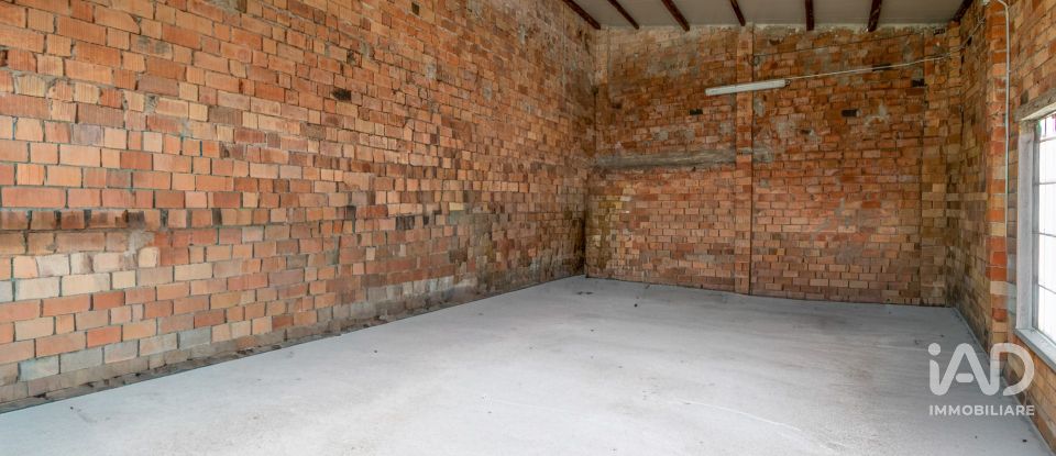 House 7 rooms of 250 m² in Cerea (37053)