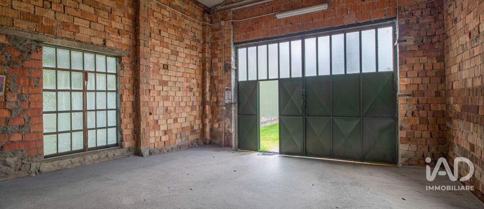 House 7 rooms of 250 m² in Cerea (37053)