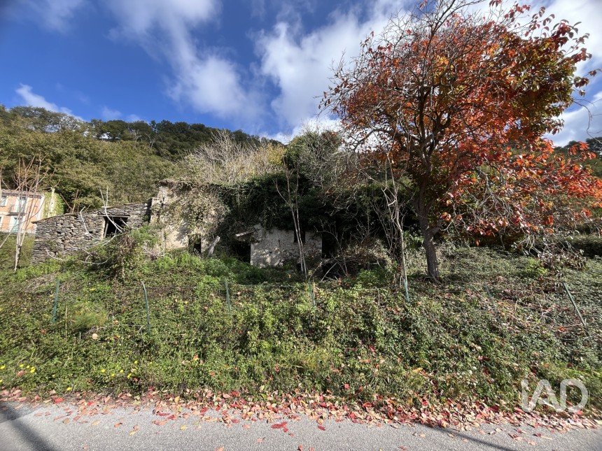 Casa indipendente 0 locali di 140 m² in Belmonte Calabro (87033)