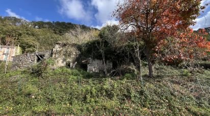 Casa indipendente 0 locali di 140 m² in Belmonte Calabro (87033)