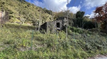 Casa indipendente 0 locali di 140 m² in Belmonte Calabro (87033)