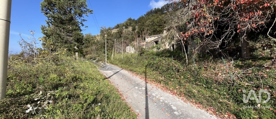 Casa indipendente 0 locali di 140 m² in Belmonte Calabro (87033)