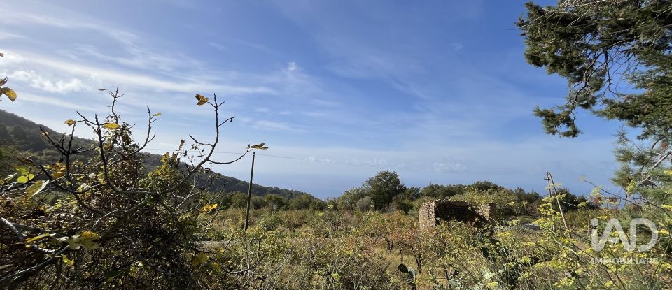 Casa indipendente 0 locali di 140 m² in Belmonte Calabro (87033)