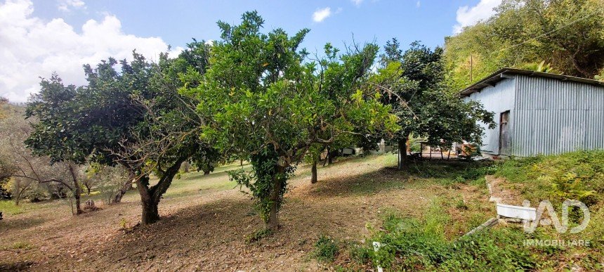 Land of 4,680 m² in Serra d'Aiello (87030)