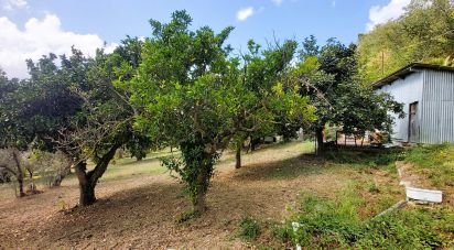 Terreno di 4.680 m² in Serra d'Aiello (87030)