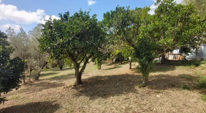 Terreno di 4.680 m² in Serra d'Aiello (87030)