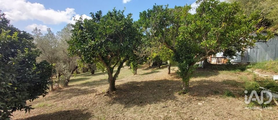 Land of 4,680 m² in Serra d'Aiello (87030)