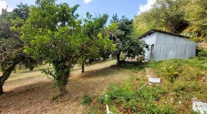 Terreno di 4.680 m² in Serra d'Aiello (87030)