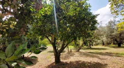 Terreno di 4.680 m² in Serra d'Aiello (87030)