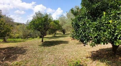Terreno di 4.680 m² in Serra d'Aiello (87030)