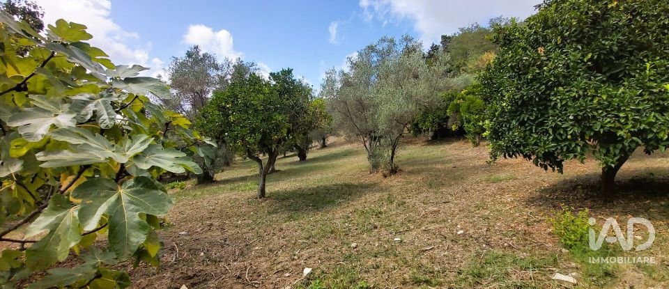 Land of 4,680 m² in Serra d'Aiello (87030)