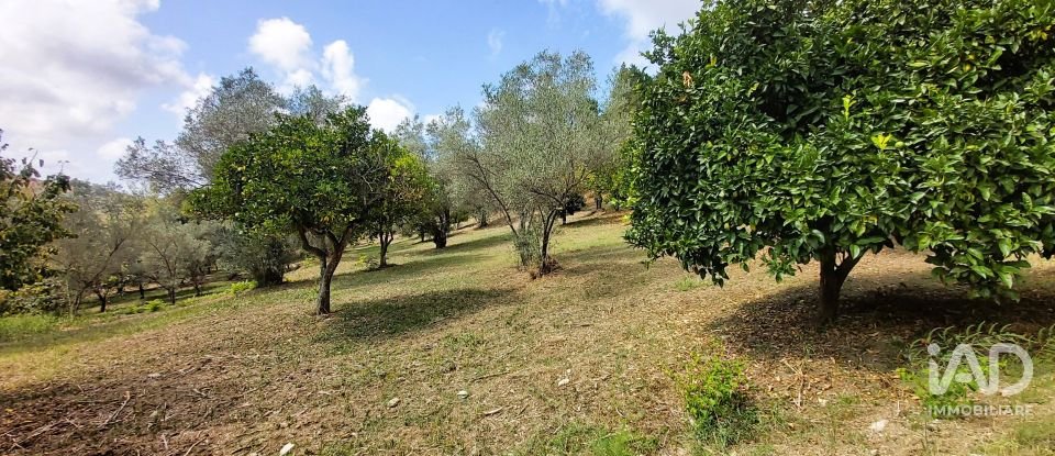 Land of 4,680 m² in Serra d'Aiello (87030)