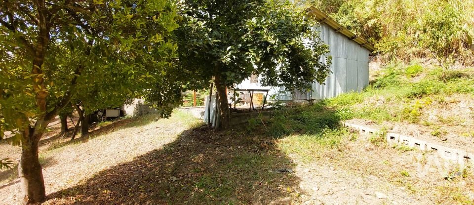 Land of 4,680 m² in Serra d'Aiello (87030)