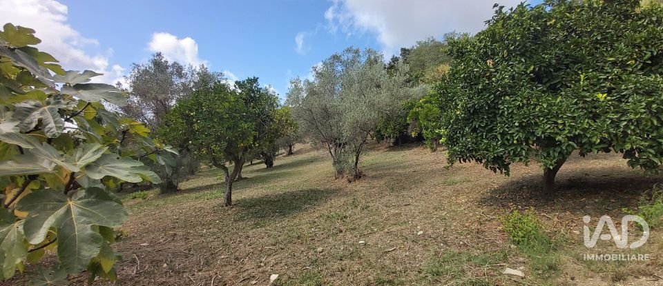 Land of 4,680 m² in Serra d'Aiello (87030)