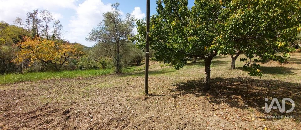 Land of 4,680 m² in Serra d'Aiello (87030)