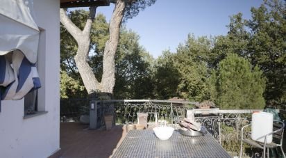 Hotel-ristorante di 1.100 m² in Terranuova Bracciolini (52028)