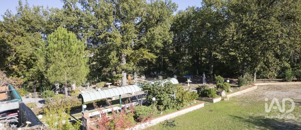 Hotel-restaurant of 1,100 m² in Terranuova Bracciolini (52028)