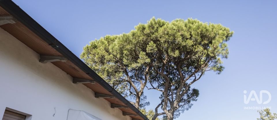 Hotel-restaurant of 1,100 m² in Terranuova Bracciolini (52028)