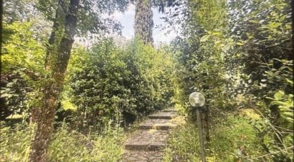 Casale 12 locali di 289 m² in Figline Valdarno (50063)