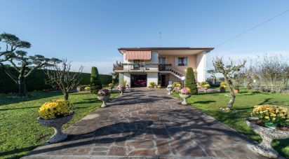 Casa indipendente / Villa 5 locali di 192 m² in Selvazzano Dentro (35030)