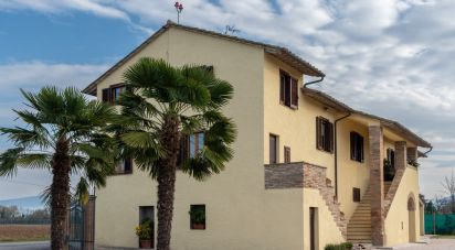 Rustico 8 locali di 320 m² in Bastia Umbra (06083)