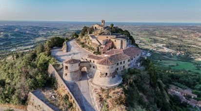 Costruzione di 3.000 m² in Torriana (47825)