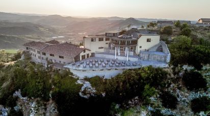 Costruzione di 3.000 m² in Torriana (47825)