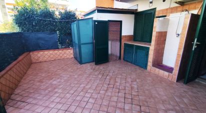 Trilocale di 35 m² a Scalea (87029)