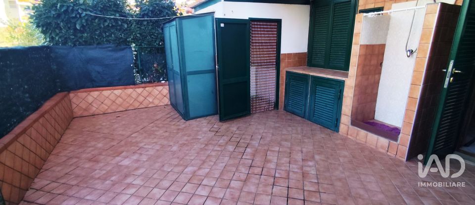 Trilocale di 35 m² a Scalea (87029)