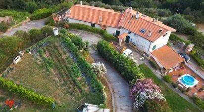 Casa indipendente 19 locali di 572 m² in Vezzi Portio (17028)