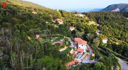 Casa indipendente 19 locali di 572 m² in Vezzi Portio (17028)