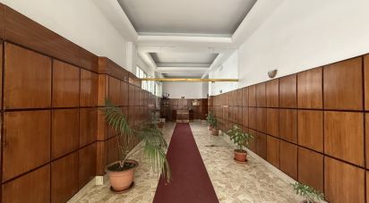 Two-room apartment of 80 m² in Palermo (90143)