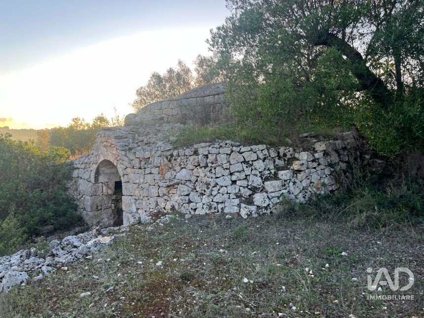 Horses property 2 rooms of 35 m² in Ostuni (72017)