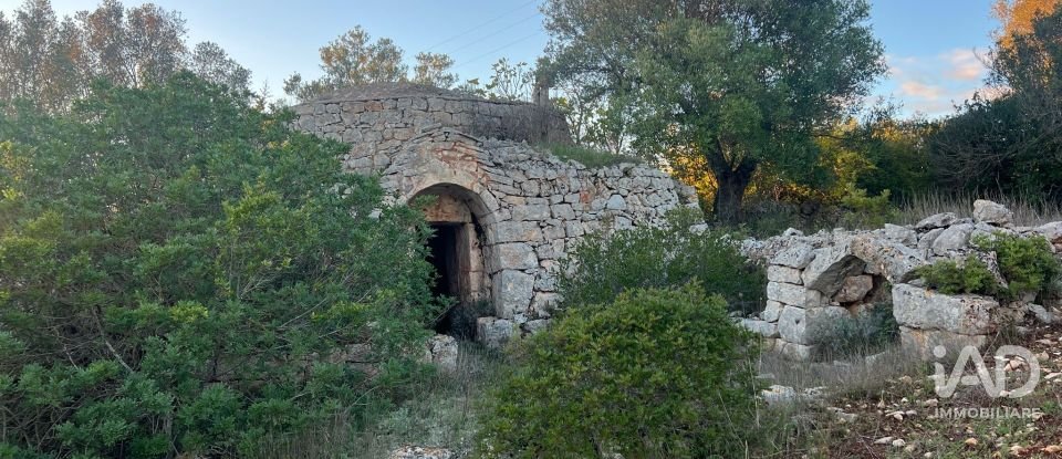 Horses property 2 rooms of 35 m² in Ostuni (72017)