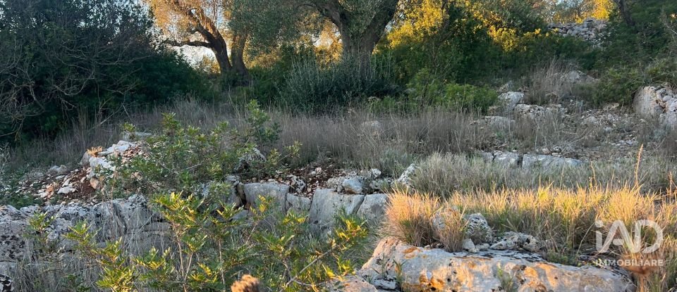 Horses property 2 rooms of 35 m² in Ostuni (72017)