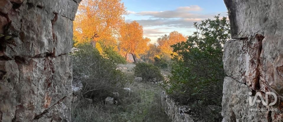 Horses property 2 rooms of 35 m² in Ostuni (72017)